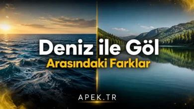 Deniz ile Göl Arasındaki Fark Nedir