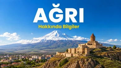 Ağrı hakkında bilgiler, Ağrı Dağı ve Doğubayazıt manzarası