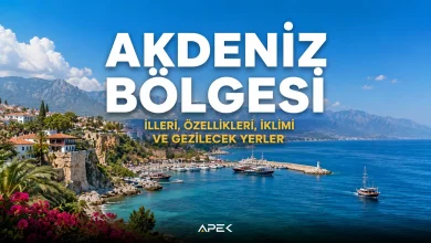 Akdeniz Bölgesi'ni temsil eden doğal manzara ve kıyı görünümü. Akdeniz Bölgesi illeri, özellikleri, iklimi ve gezilecek yerler rehberi.