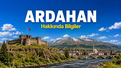 Ardahan hakkında bilgiler için Çıldır Gölü ve yüksek dağ manzarası
