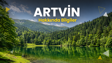 Artvin’in yeşil dağları, Çoruh Vadisi ve doğal güzelliklerini gösteren Artvin şehir manzarası