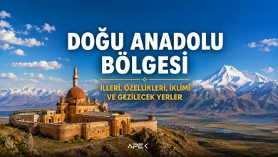 Doğu Anadolu Bölgesi'ni temsil eden Ağrı Dağı ve doğal manzara. Doğu Anadolu Bölgesi illeri, iklimi, özellikleri ve gezilecek yerler rehberi.