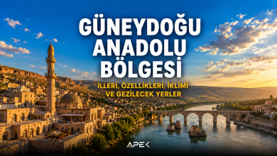 Güneydoğu Anadolu Bölgesi'ni temsil eden Göbeklitepe ve tarihi taş yapılar. Güneydoğu Anadolu Bölgesi illeri, iklimi, özellikleri ve gezilecek yerler rehberi.