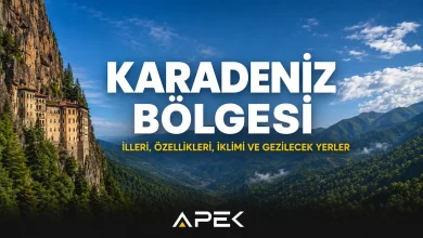 Karadeniz Bölgesi'ni simgeleyen yemyeşil yaylalar ve doğal manzara. Karadeniz Bölgesi illeri, özellikleri, iklimi ve gezilecek yerler rehberi.