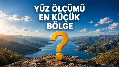 Yüz ölçümü en küçük bölge hangisidir?